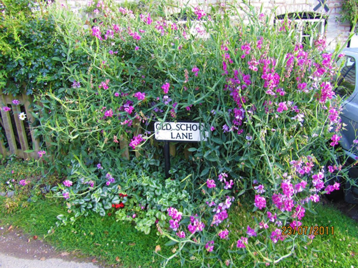 Harpe Cottage Wilmcote Dış mekan fotoğraf